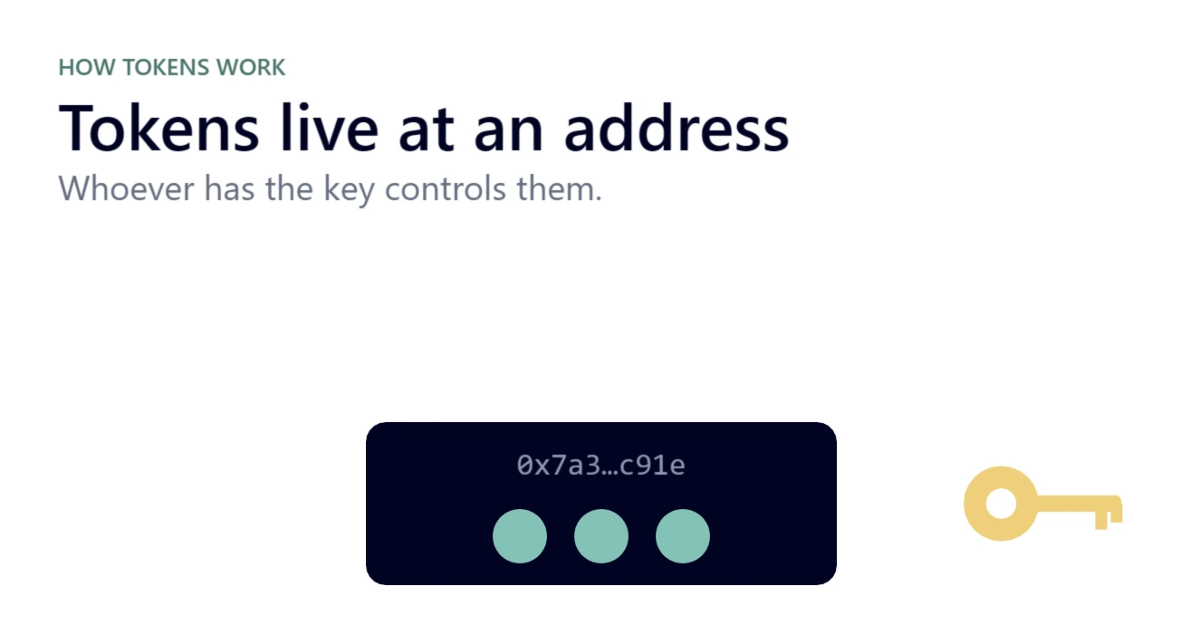 A dark card labelled with an address, 0x7a3…c91e, holding three tokens, next to a gold key.